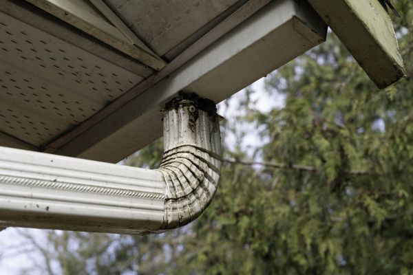 Cost of Roof Drain Replacement in Webster