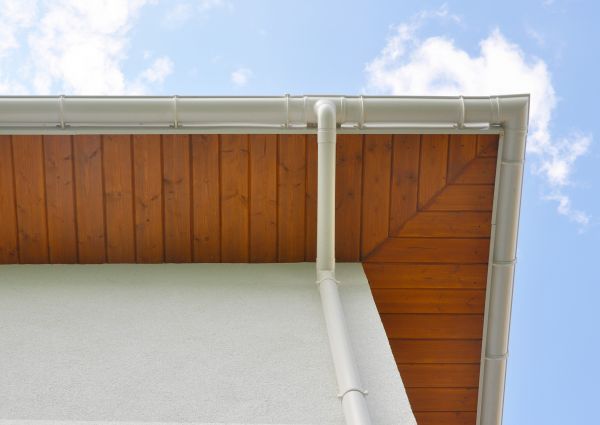 Cost of Downspout Diverter Service in Webster